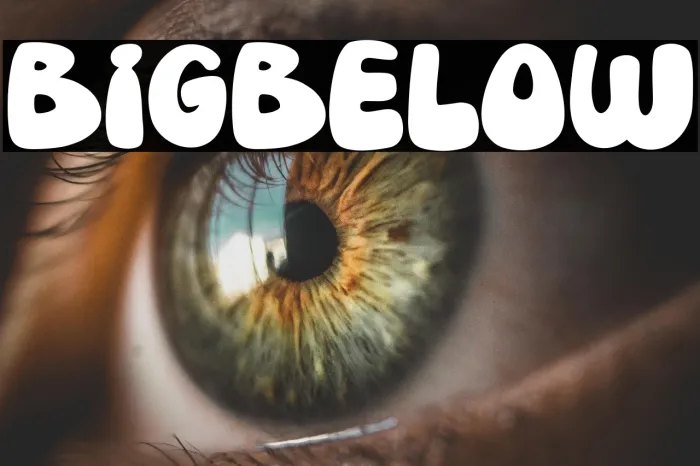 Bigbelow Example 2