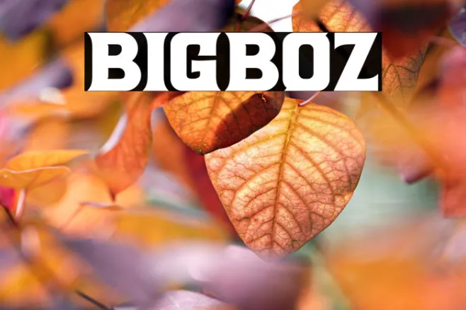 Bigboz Example 2