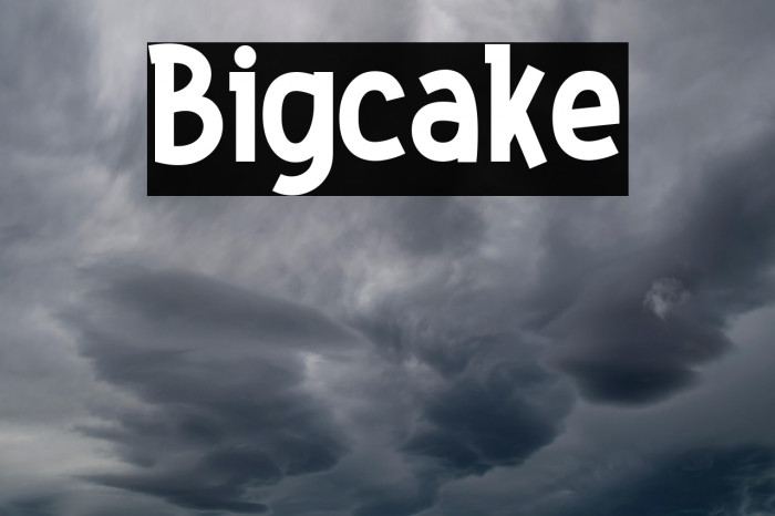 Bigcake Example 1