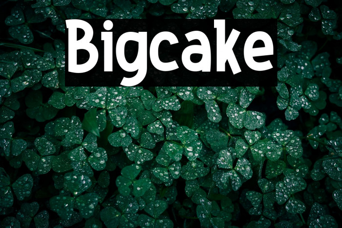 Bigcake Example 2