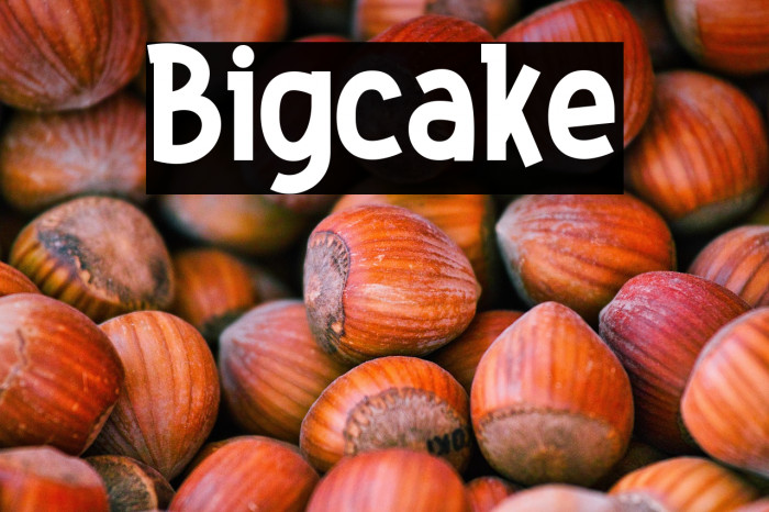 Bigcake Example 3