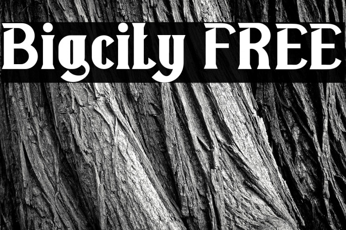 Bigcity FREE Example 1