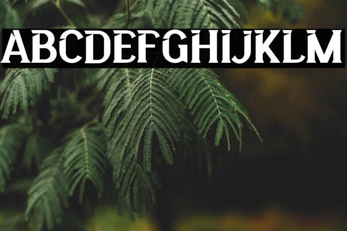 BigcityFREE Example 1