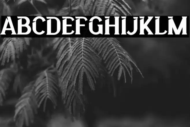 BigcityFREE Font examples