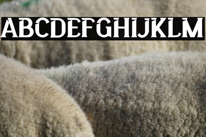 BigcityFREE Example 3