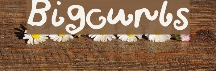 Bigcurls Font examples