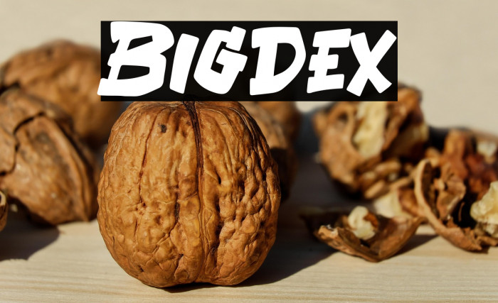 Bigdex Example 1