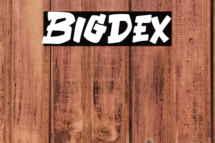 Bigdex Example 2