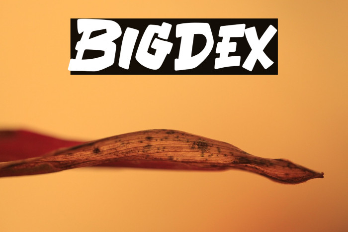 Bigdex Example 3