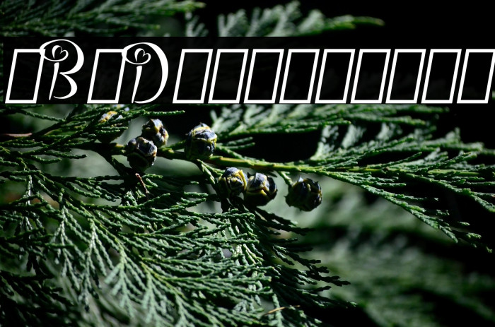 Bigdey Demo Example 2