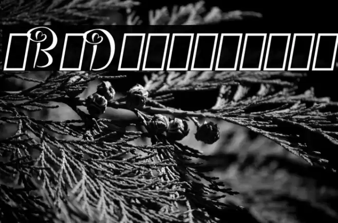 Bigdey Demo Font examples