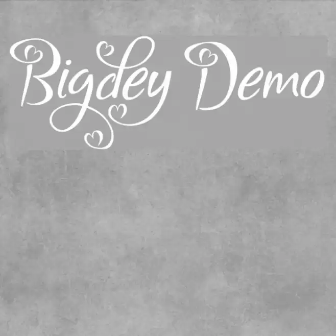 Bigdey Demo Fonte examples