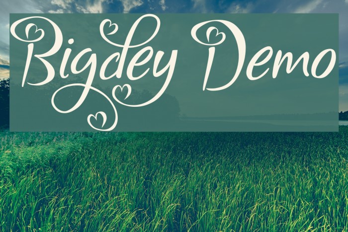 Bigdey Demo Fonte examples