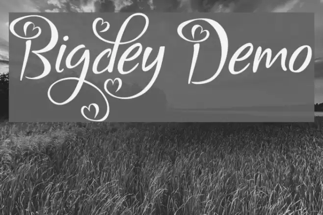Bigdey Demo Fonte examples