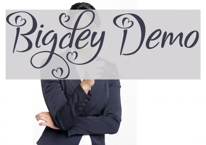 Bigdey Demo Fonte examples