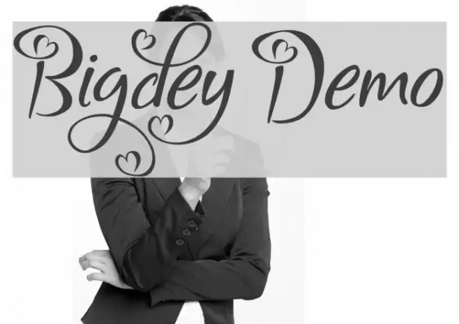 Bigdey Demo Fonte examples