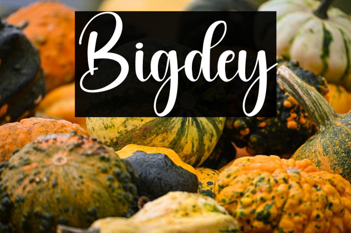 Bigdey Example 1