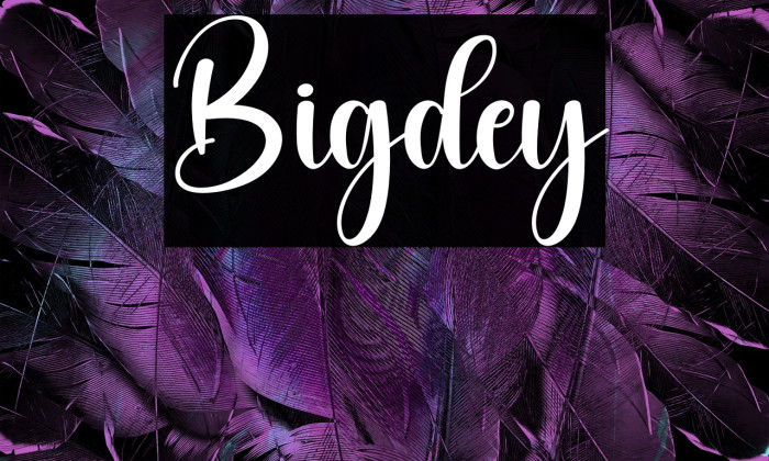Bigdey Example 3