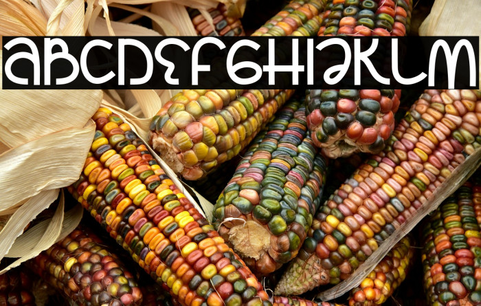 Bigdino Park Example 1