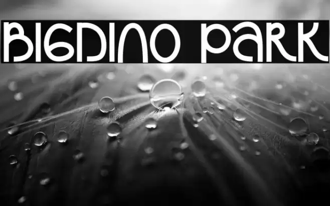 Bigdino Park Font examples
