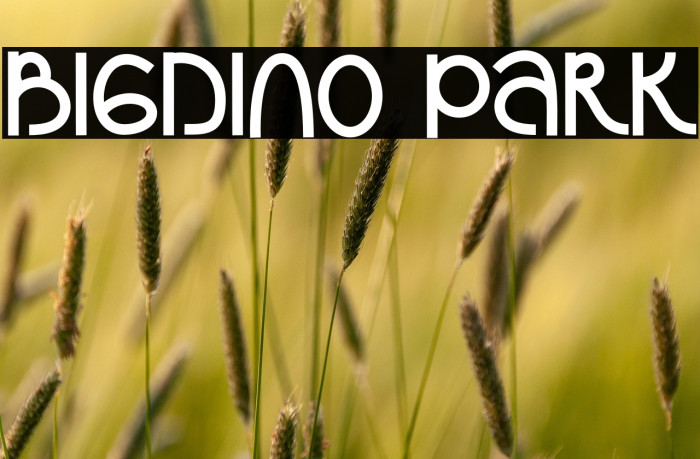 Bigdino Park Example 3