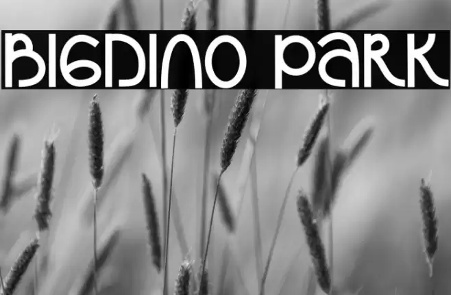 Bigdino Park Font examples