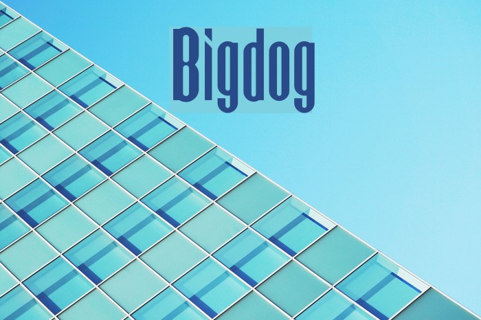 Bigdog Font examples