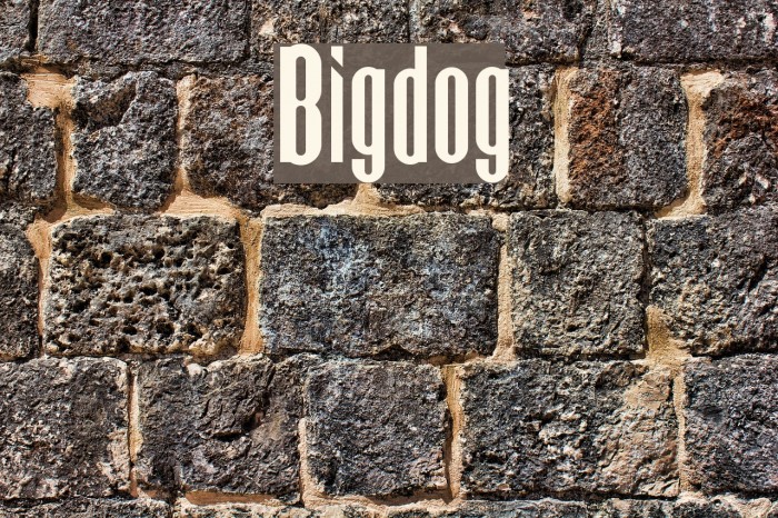 Bigdog Font examples