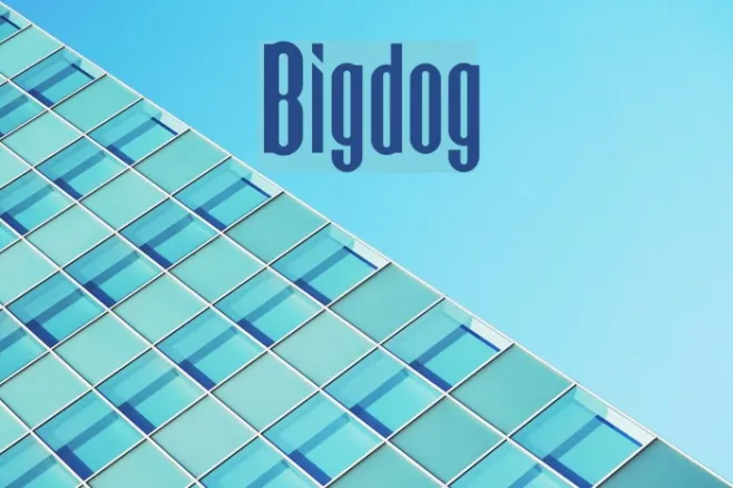 Bigdog Example 3
