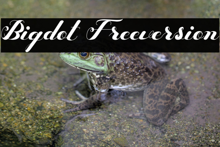 Bigdot Freeversion Example 3