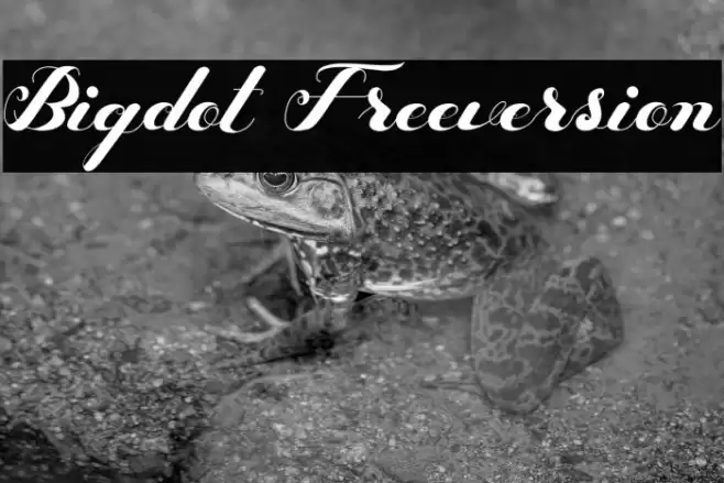 Bigdot Freeversion Font examples