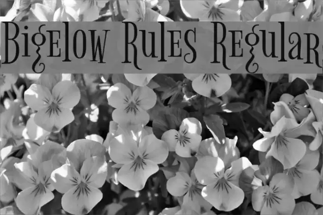 Bigelow Rules Regular Font examples