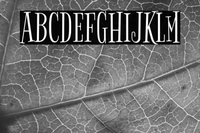 Bigelow Rules Font examples