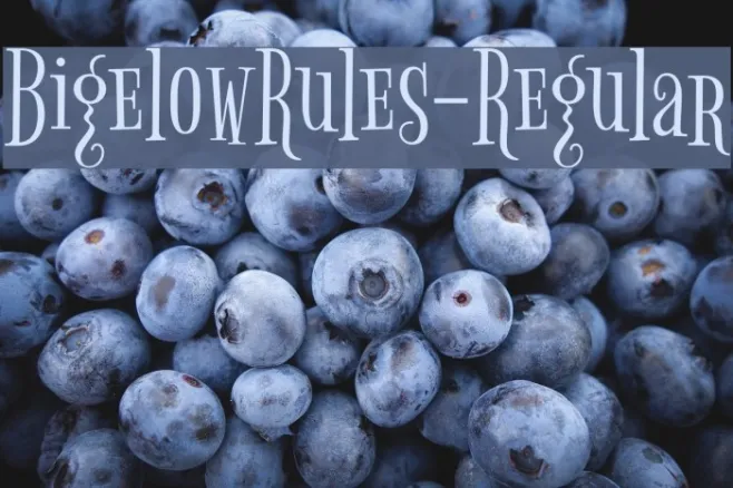 BigelowRules-Regular Example 1