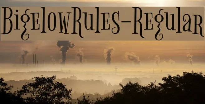 BigelowRules-Regular Example 2