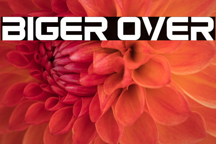 Biger Over Example 3