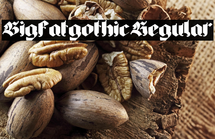Bigfat gothic Regular Example 2