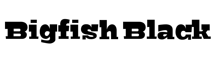 Bigfish Black Font