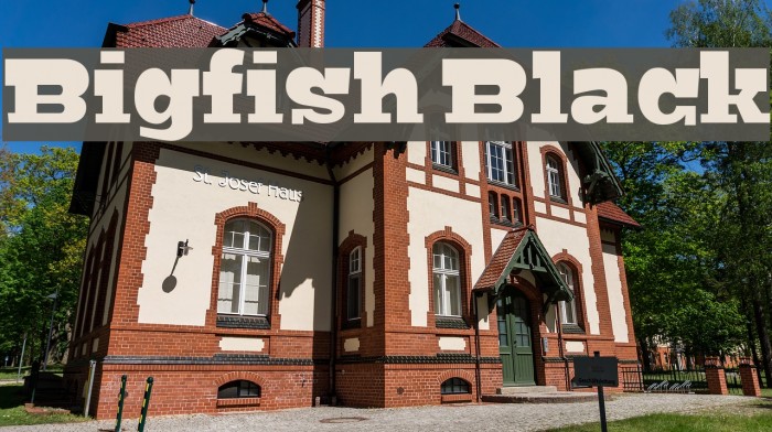 Bigfish Black Font examples