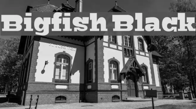 Bigfish Black Font examples