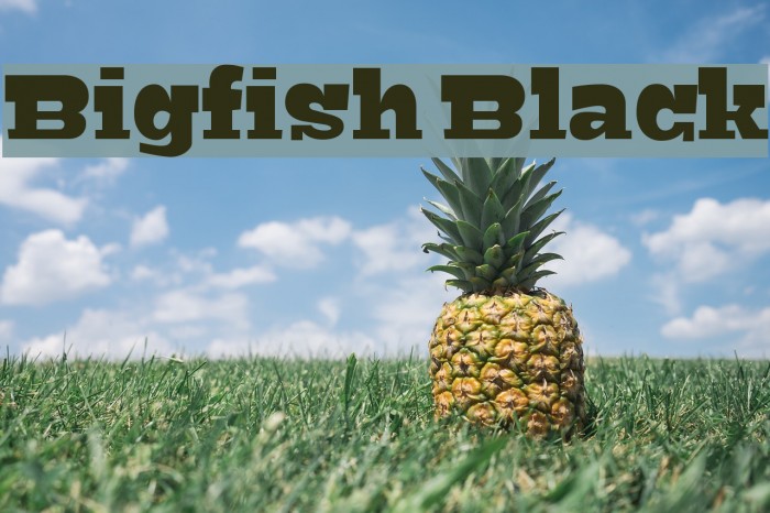 Bigfish Black Font examples