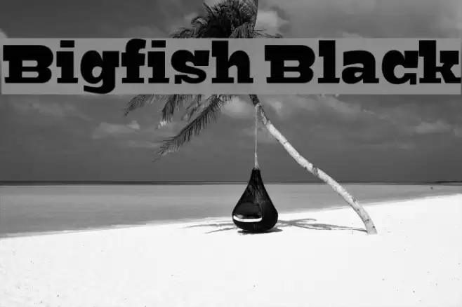 Bigfish Black Font examples