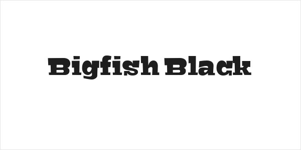 Bigfish Black Logo