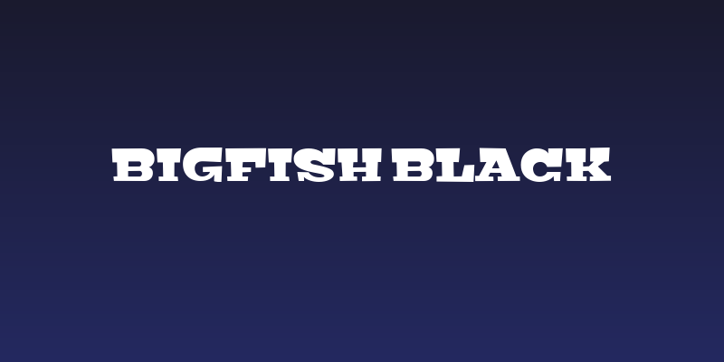 Bigfish Black Social Header