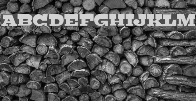 Bigfish Font examples