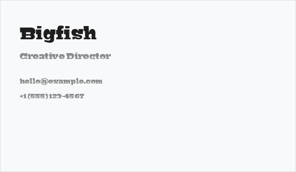 Bigfish Business Card