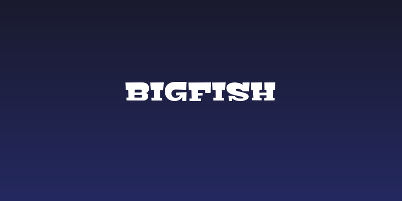 Bigfish Social Header