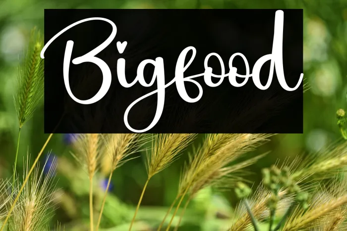 Bigfood Example 3