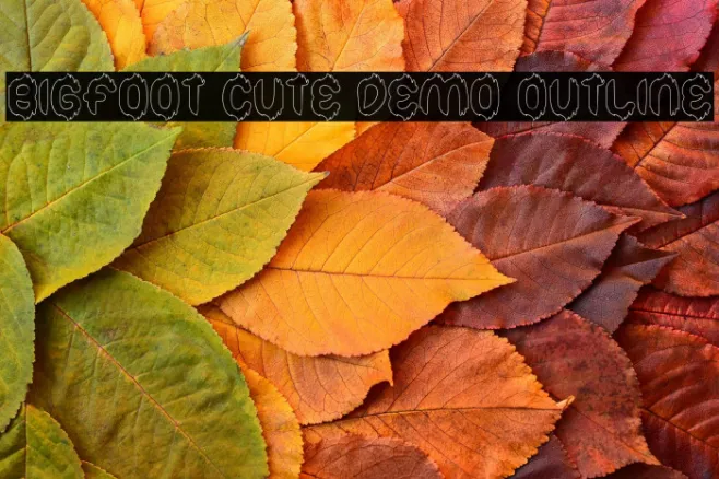 Bigfoot Cute Demo Outline Example 3