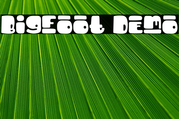 Bigfoot Demo Font examples